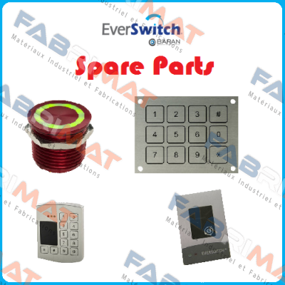 SW 60 Everswitch