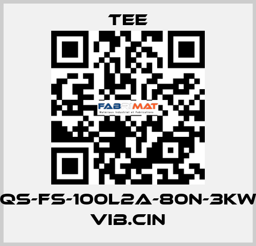 QS-FS-100L2A-80N-3KW VIB.CIN TEE