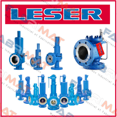 4374.3142 /safety valve Leser