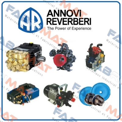 SUCTION AND DISCHARGE VALVE SET FOR SHP 10.50 WASHING PUMP  Annovi Reverberi