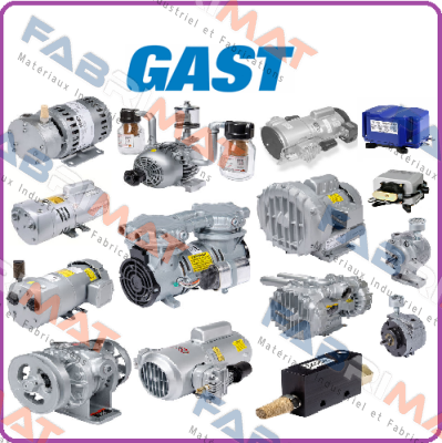 R3105-12 Gast