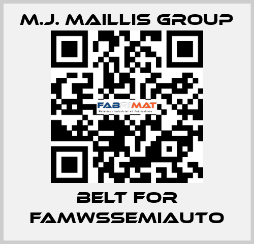 belt for FAMWSSEMIAUTO M.J. MAILLIS GROUP