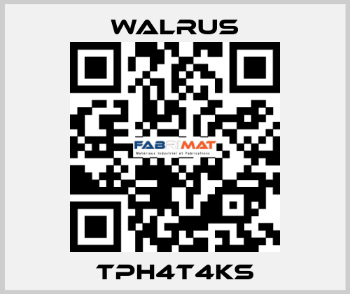 TPH4T4KS Walrus