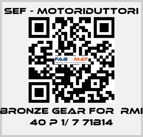 bronze gear for  RMI 40 P 1/ 7 71B14 SEF - MOTORIDUTTORI