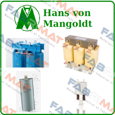 400500189 Hans von Mangoldt