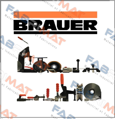 PH300/75/PBM80 Brauer