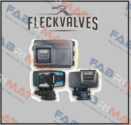 290015 Fleck Valves