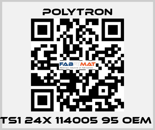 TS1 24X 114005 95 oem  Polytron