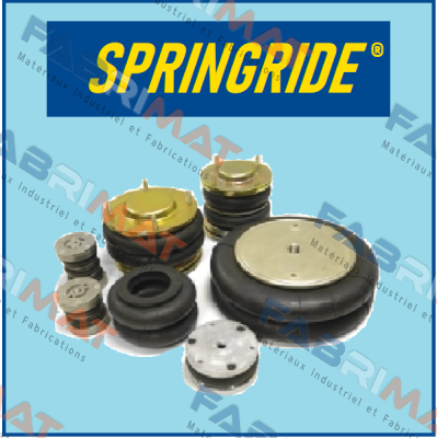 28 9396 Springride