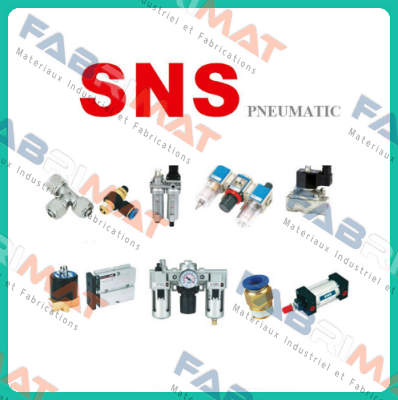 Seal kit for al3250600anb09x SNS Pneumatic