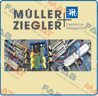 MFM 3440-110-AD-Z-Z-Z Ziegler