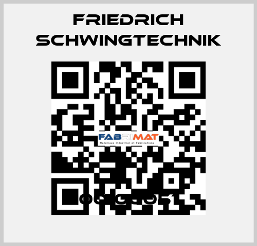 00100051 Friedrich Schwingtechnik