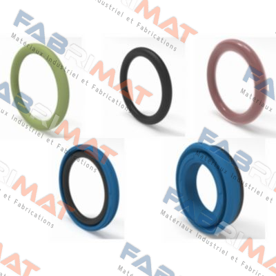 TF42-62-8V　Oil seal Angst-Pfister