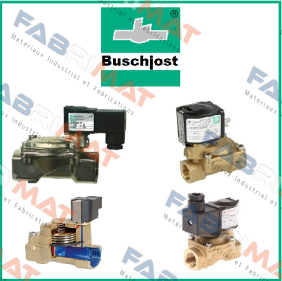 CE-0085CN0205. Buschjost