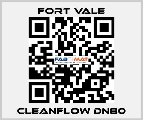 Cleanflow DN80 Fort Vale