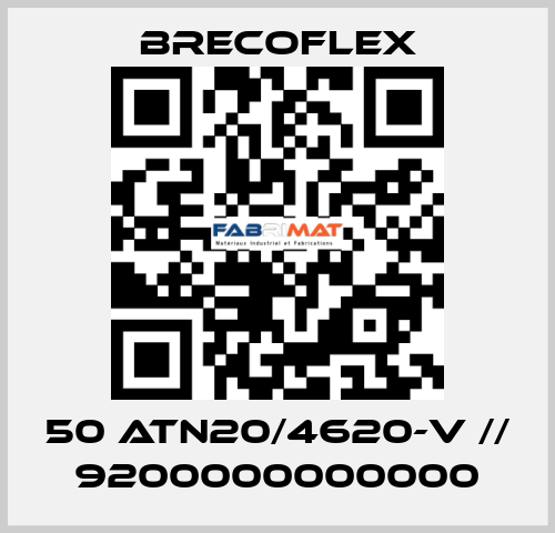 50 ATN20/4620-V // 9200000000000 Brecoflex