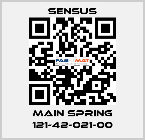 Main spring 121-42-021-00 Sensus