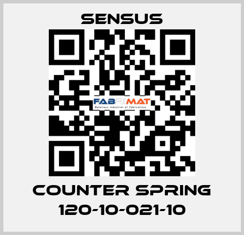 Counter spring 120-10-021-10 Sensus