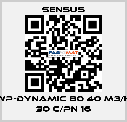 Wp-Dynamic 80 40 m3/h 30 c/PN 16 Sensus