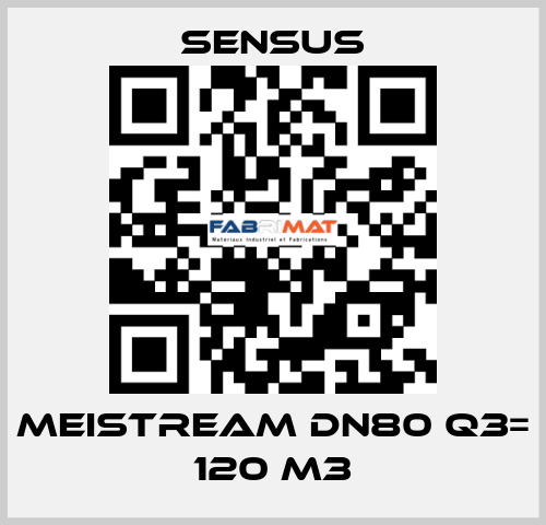 Meistream DN80 Q3= 120 m3 Sensus