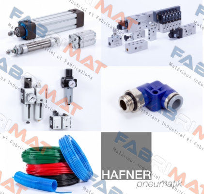 MNH 510 701 NPT VES Hafner