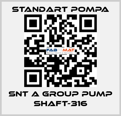 SNT A GROUP PUMP SHAFT-316 STANDART POMPA