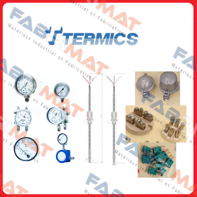 INT02048 with TMT181 transmitter Termics