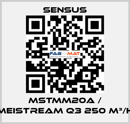 MSTMM20A / MeiStream Q3 250 m³/h Sensus