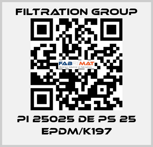 PI 25025 DE PS 25 EPDM/K197 Filtration Group