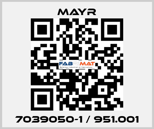 7039050-1 / 951.001 Mayr