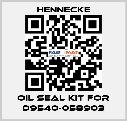 oil seal kit for D9540-058903 Hennecke