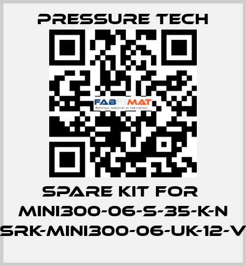 Spare kit for  MINI300-06-S-35-K-N (SRK-MINI300-06-UK-12-V) Pressure Tech