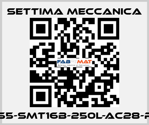 GR55-SMT16B-250L-AC28-RF2 Settima Meccanica