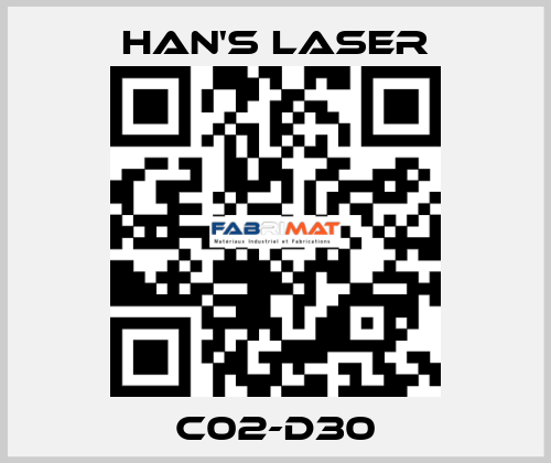 C02-D30 Han's Laser