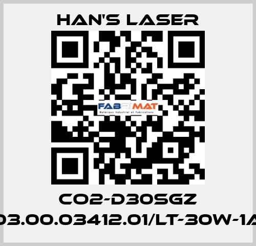 CO2-D30SGZ 03.00.03412.01/LT-30W-1A Han's Laser