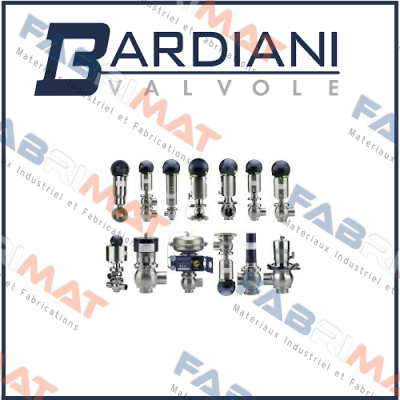 QNC400083AA A00    CIL.MACH 83 S.E.FARF 304  Bardiani Valvole