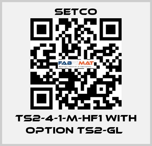 TS2-4-1-M-HF1 WITH OPTION TS2-GL  SETCO