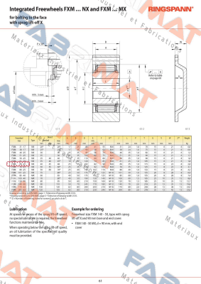 P/N: 4867-066300-040H33, Type: FXM 66-25 NX Ringspann