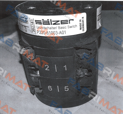 P220-61003-219M1 Salzer