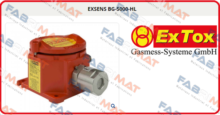 EXSENS BG-5000-HL  ExTox Gasmess-Systeme