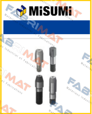 FPNLA10-P15-L1-B12-ML10  Misumi