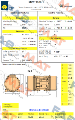 EN60300075A0JA0000  Type MVE 3000/1 Oli