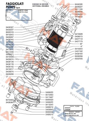 54.09299 Faggiolati