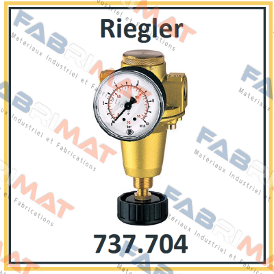 P/N: 100893 Type: 737.704 Riegler