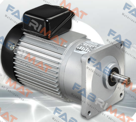 J220V18-300-21.4-A(PS1)-G 3 Luyang Gear Motor