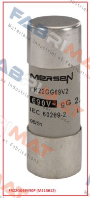 FR22GG69V50P (M213612)  Mersen