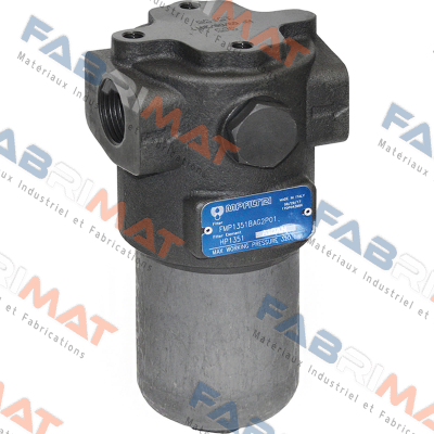 FMP-135-1-B-A-G2-A10-N-P01 MP Filtri