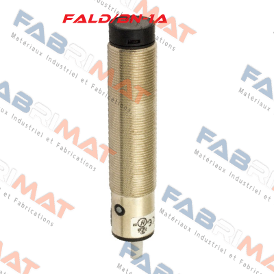 FALD/BN-1A Micro Detectors / Diell