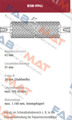 BSW-PP42-232176 old code / new code BSW-PP42-232176/1 Mink Bürsten