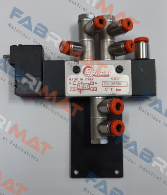 EK13803L/F Bonesi Pneumatic